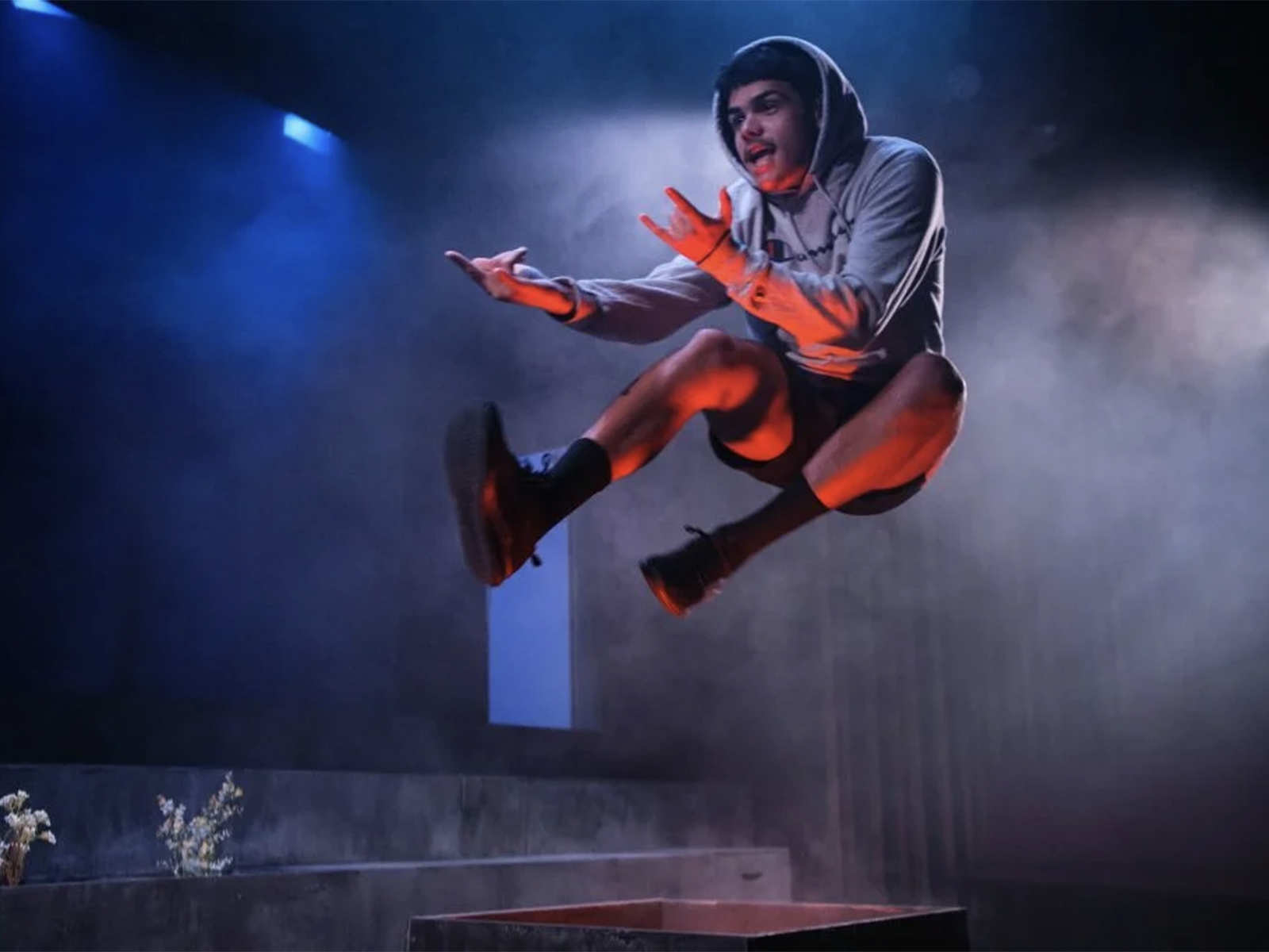 Saplings : What to expect - 1