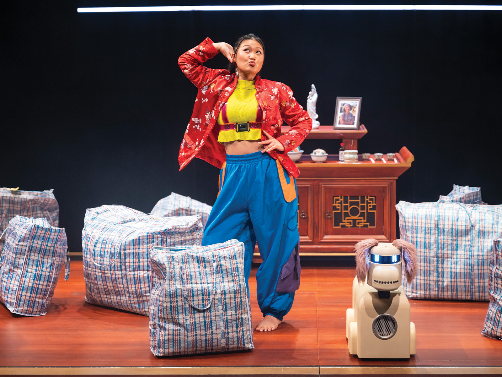 The Robot Dog: What to expect - 3