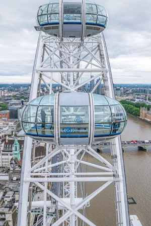 London Eye Standard Entry & River Cruise