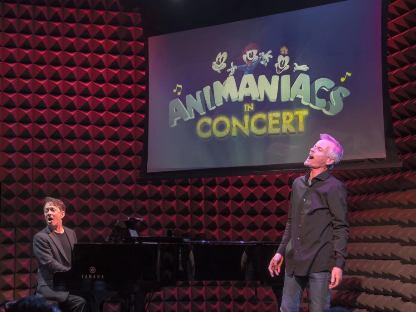 Animaniacs: What to expect - 2