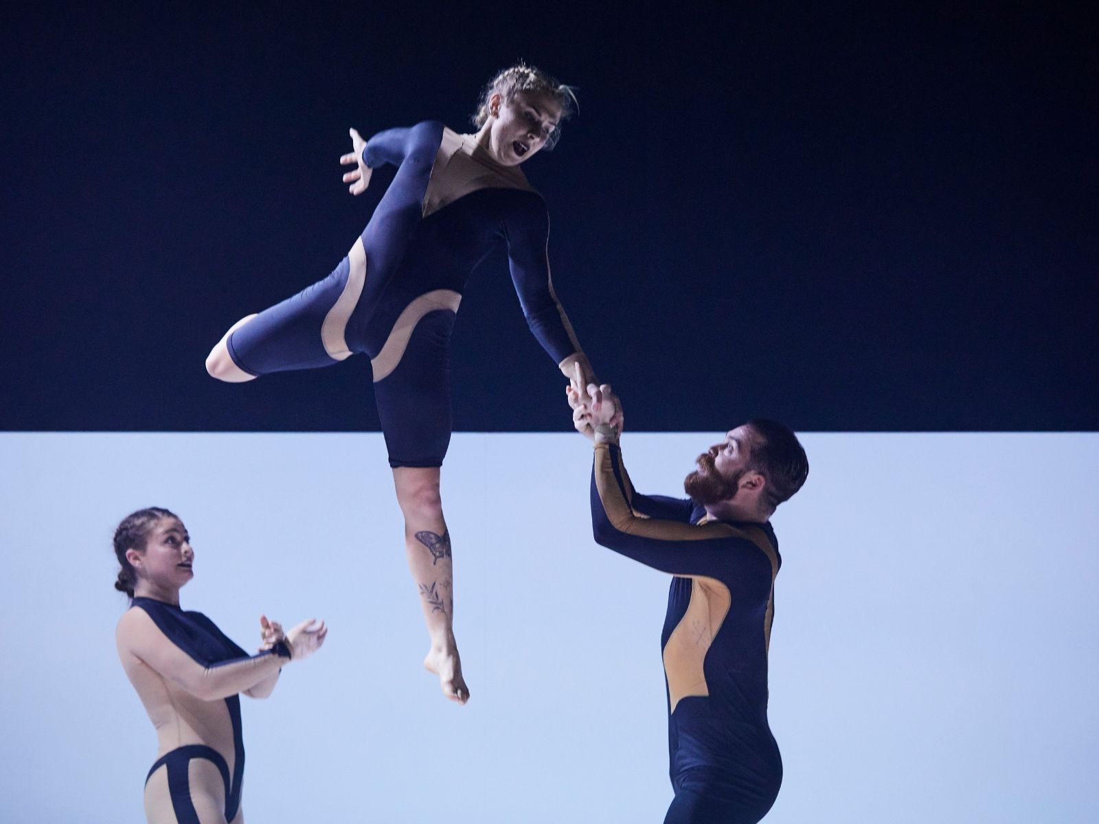 Wolf: What to expect - 4