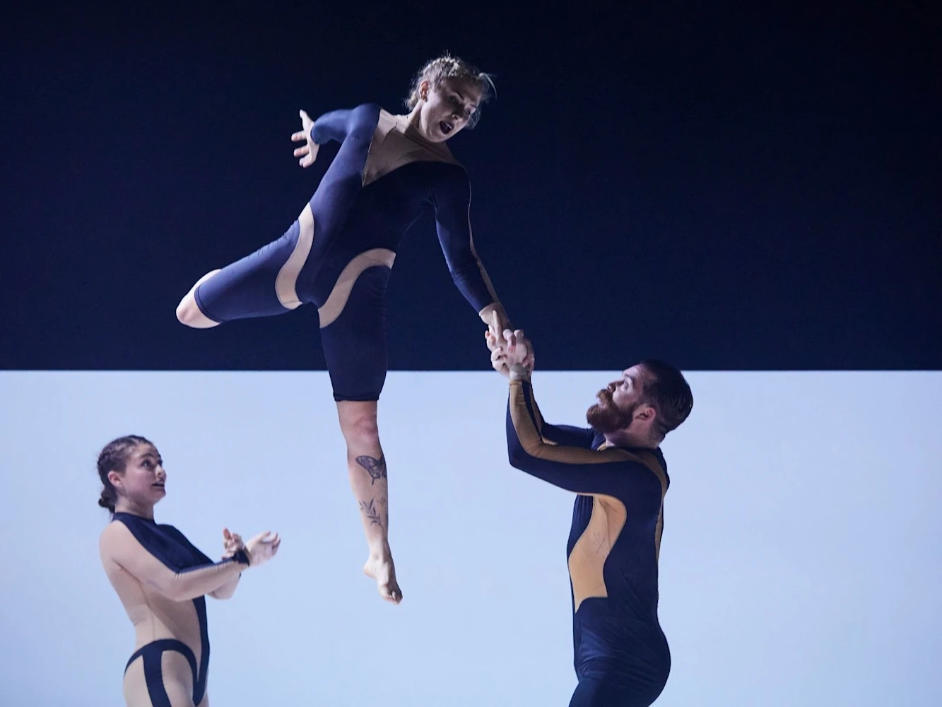 Wolf: What to expect - 4