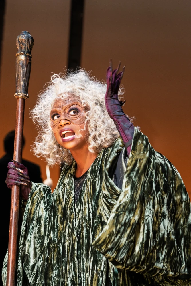 Into the Woods: What to expect - 6