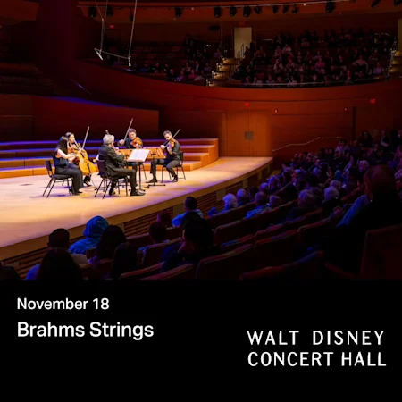 Brahms Strings