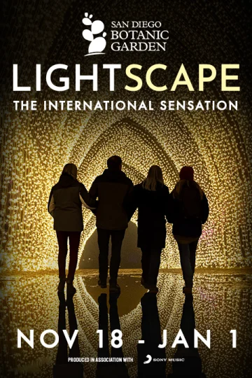 Lightscape - San Diego - Parking tickets