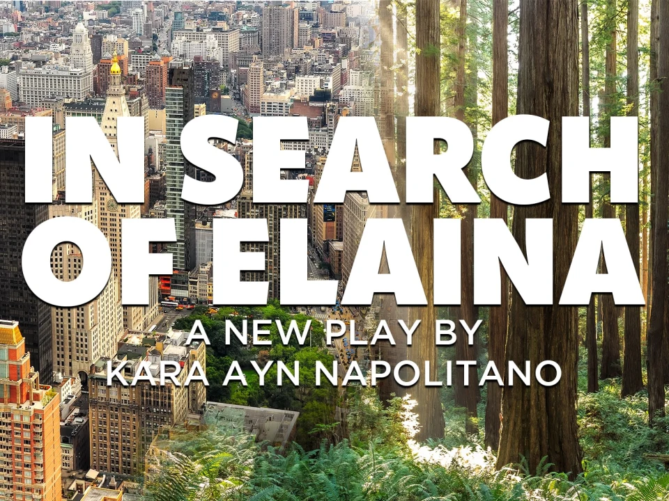 In Search of Elaina: What to expect - 1