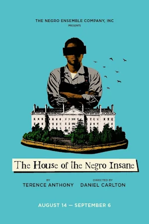 The House of the Negro Insane