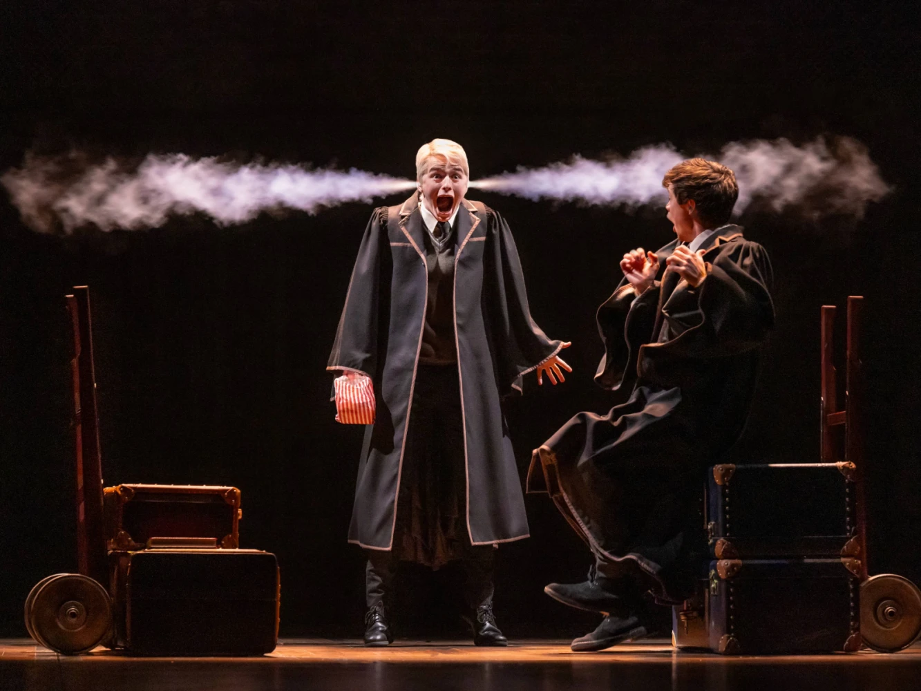 Harry Potter and the Cursed Child: What to expect - 2