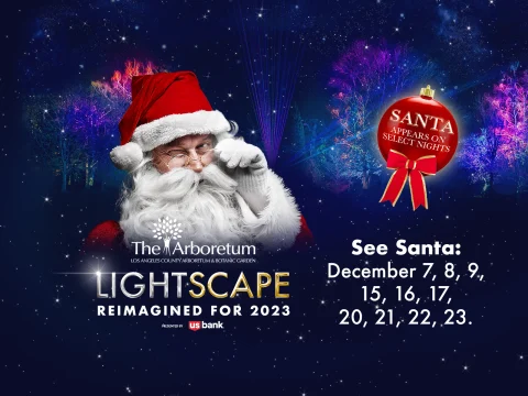 Lightscape - LA: What to expect - 2