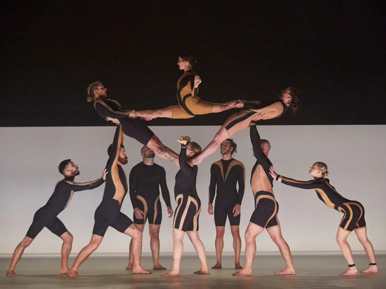 Wolf: What to expect - 6