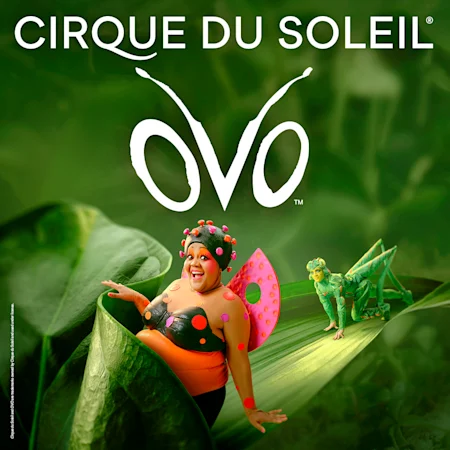Cirque du Soleil - Ovo