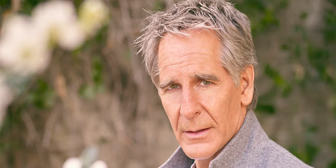 A middle-aged man with gray hair wearing a gray coat looks directly at the camera, with a blurred outdoor background featuring greenery.