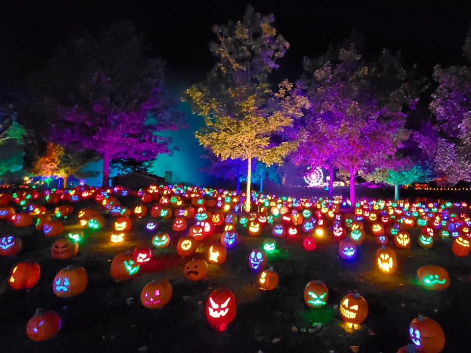 Magic of the Jack O’Lanterns: What to expect - 1
