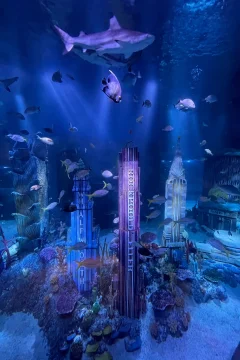 New Jersey SEA LIFE Aquarium: What to expect - 2