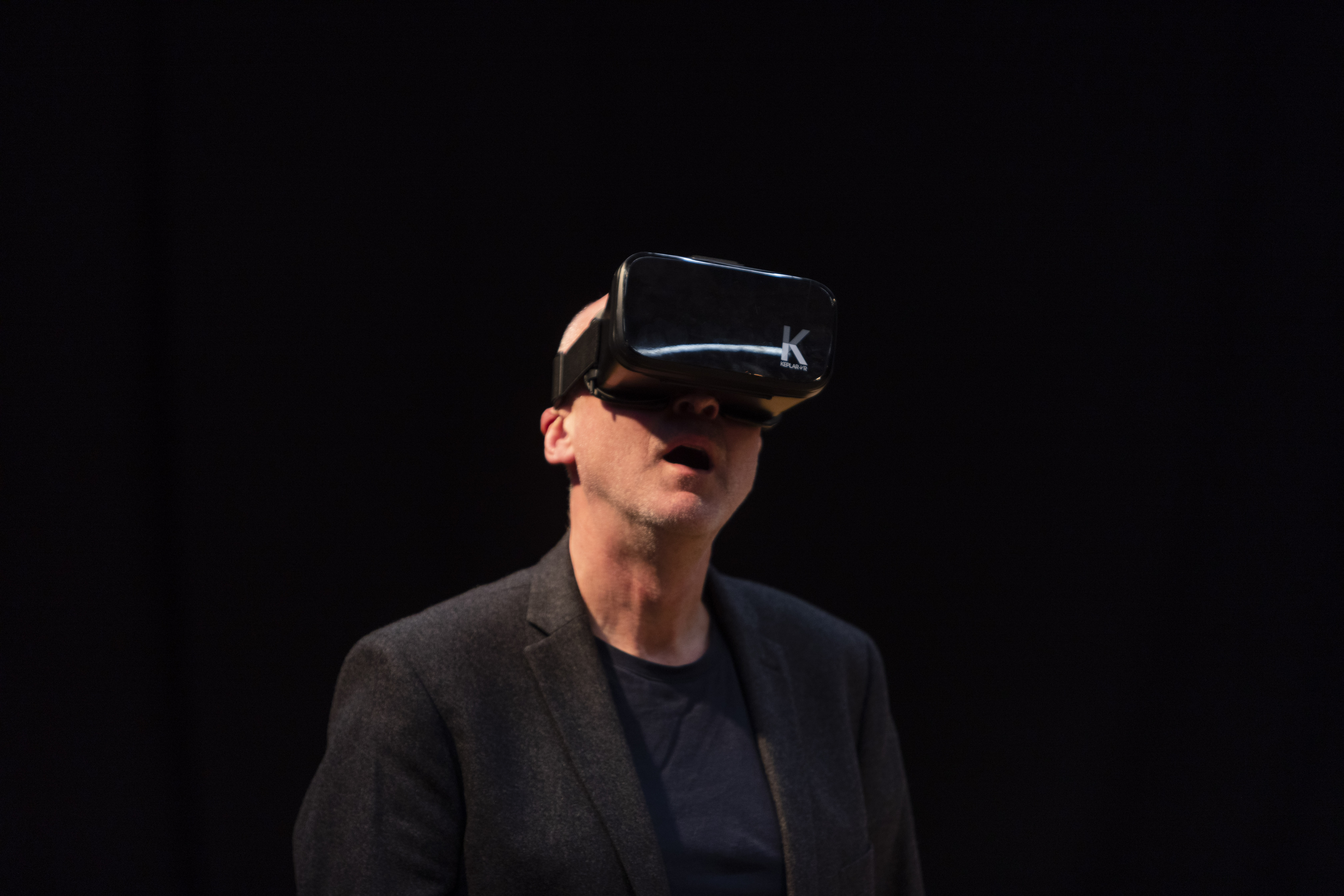 Truth's a Dog Must to Kennel: What to expect - 2