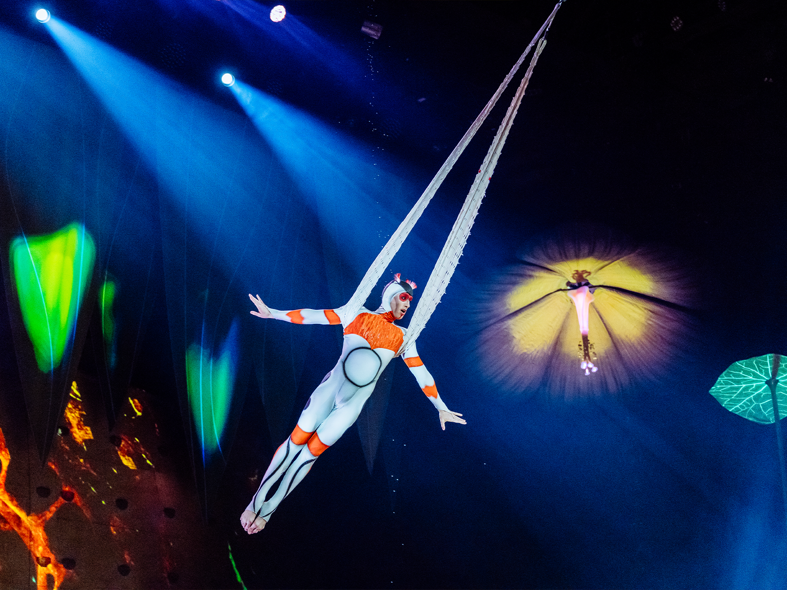 Cirque du Soleil - Ovo