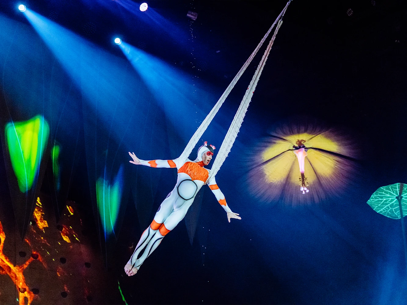 Cirque du Soleil - Ovo: What to expect - 4