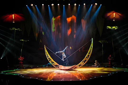Cirque du Soleil - Ovo: What to expect - 3