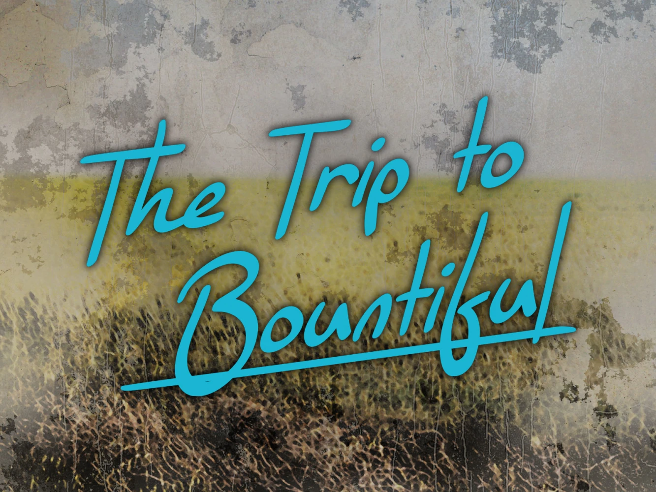 The Trip to Bountiful: What to expect - 2