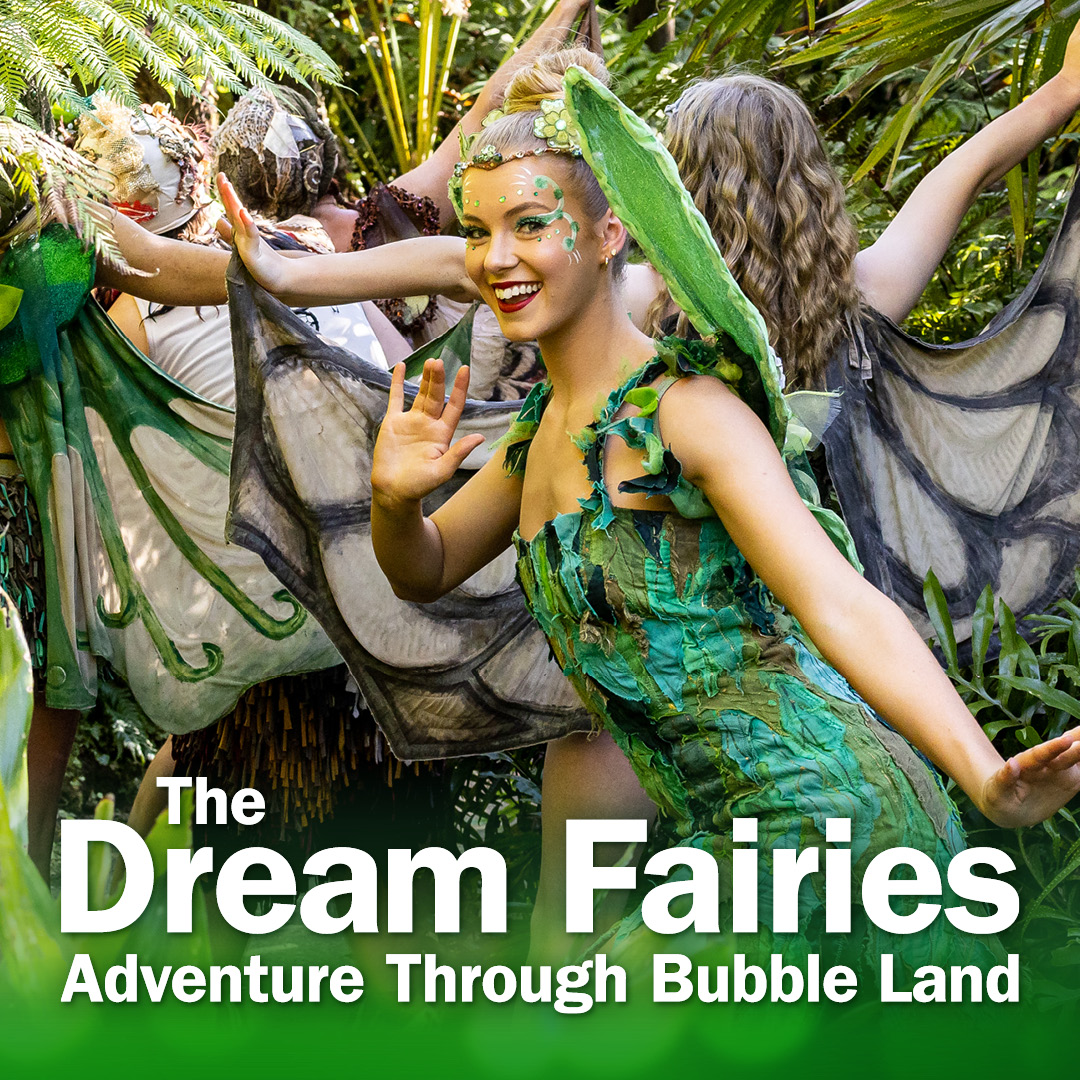 The Dream Fairies - Adventure through Bubble Land