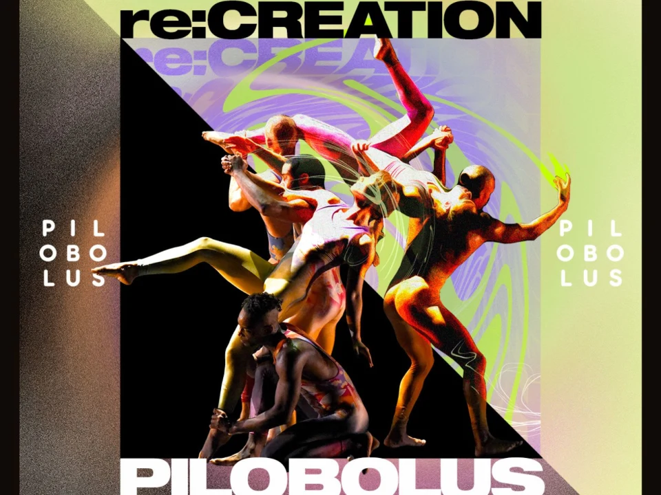 PILOBOLUS re:CREATION: What to expect - 1