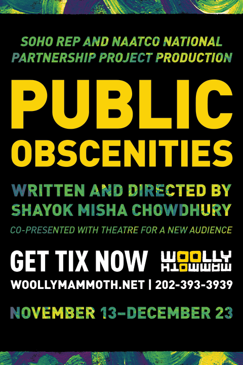 Public Obscenities show poster