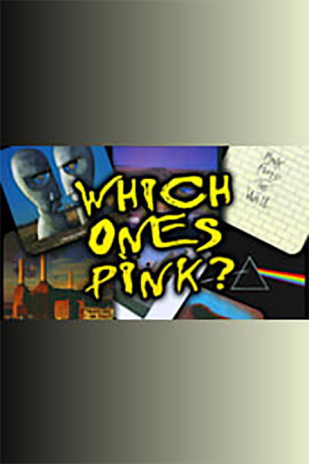 Pink Floyd Tribute by Which One’s Pink