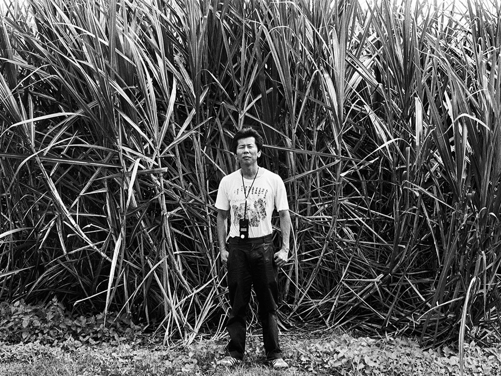 Milestone: What to expect - 2