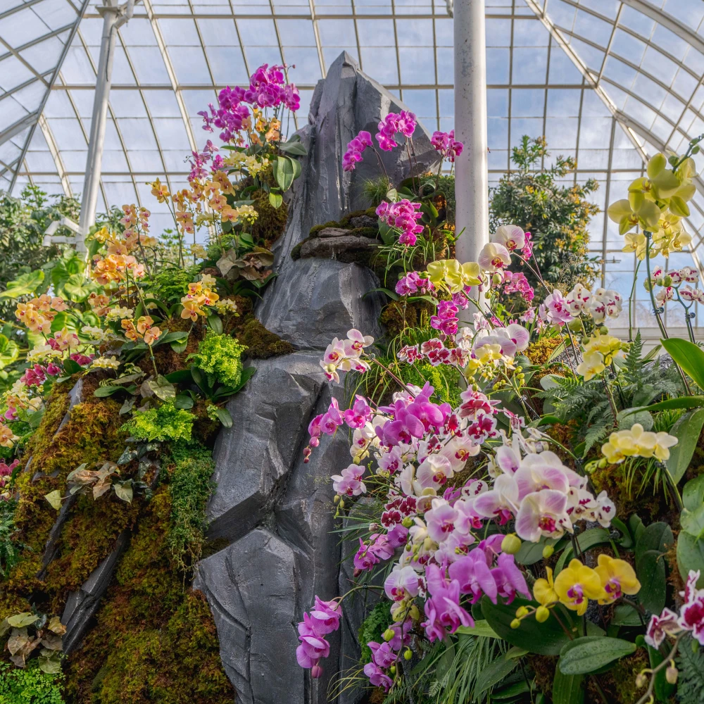 The Orchid Show at New York Botanical Garden: What to expect - 6