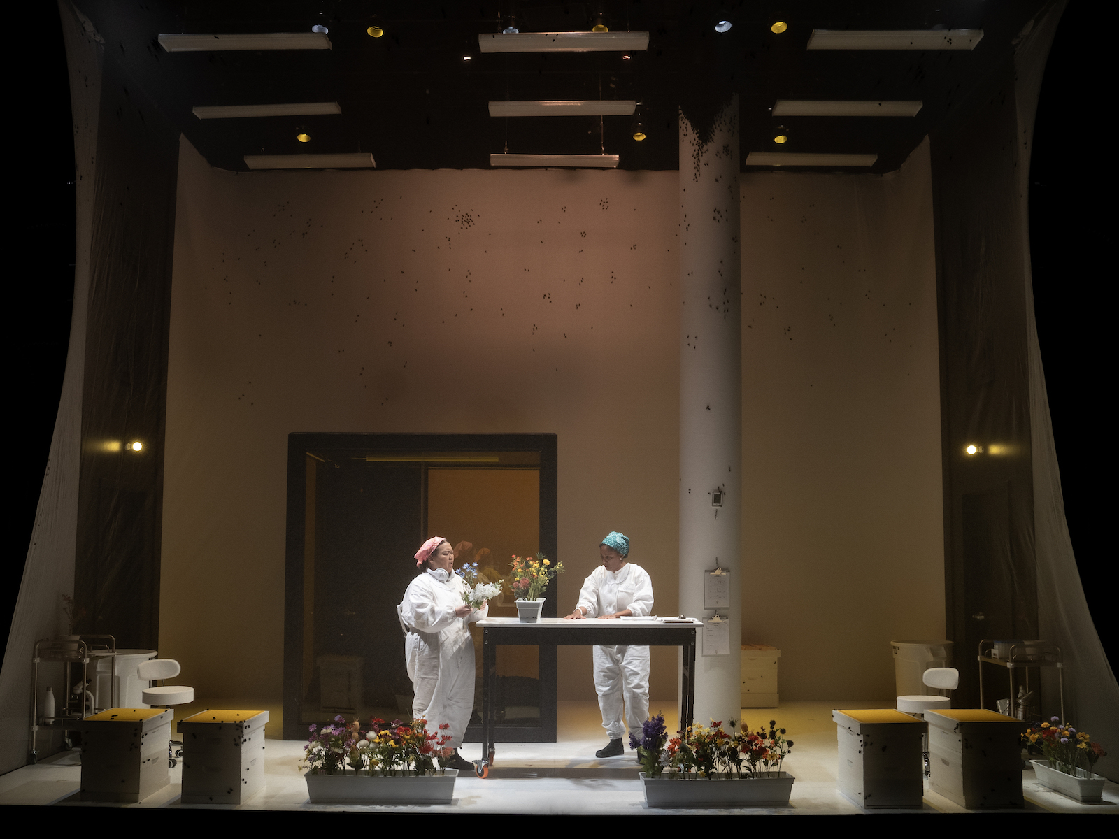 The Apiary: What to expect - 2