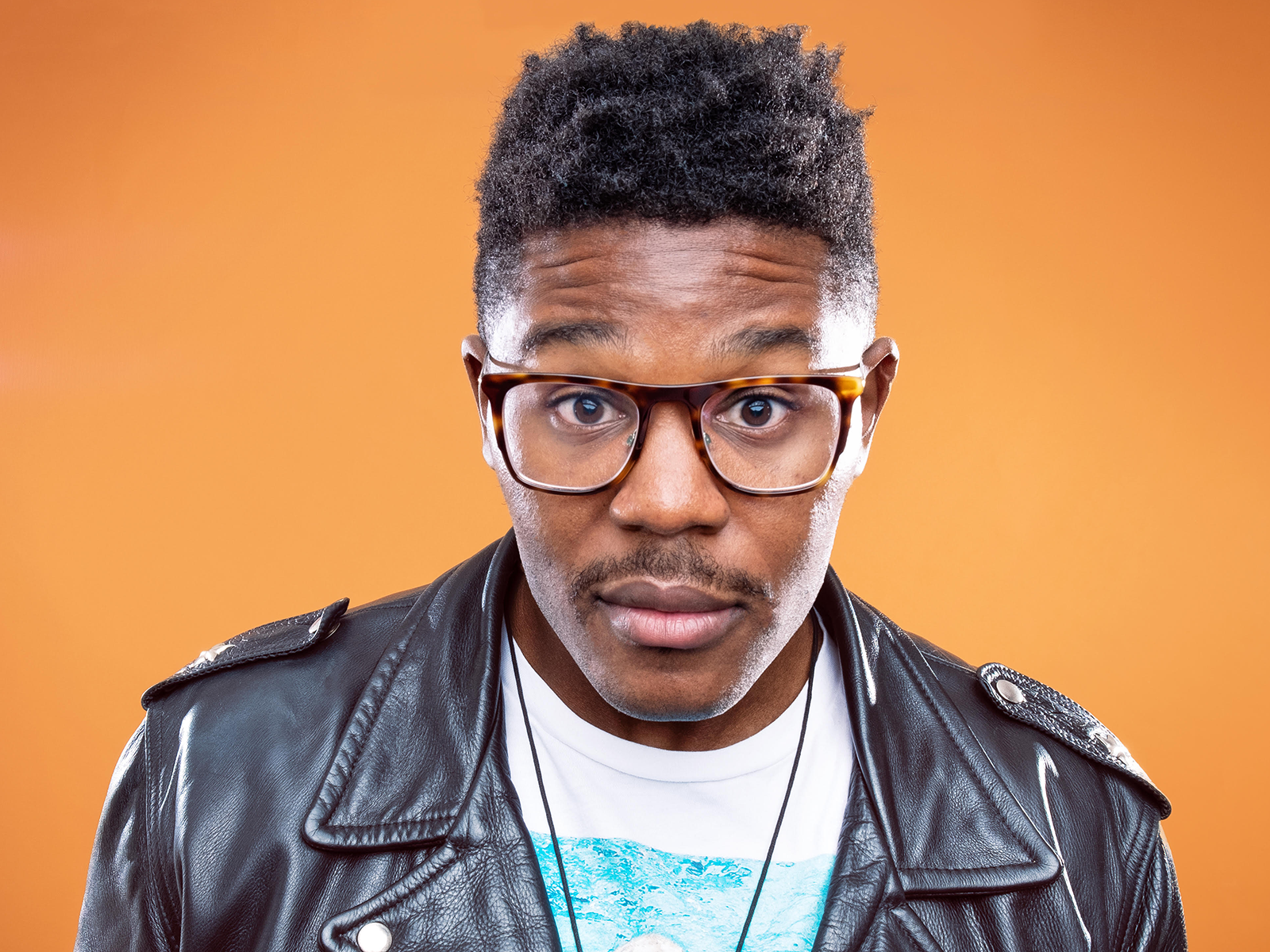 Uptown Showdown: Cats vs. Dogs: What to expect - 1