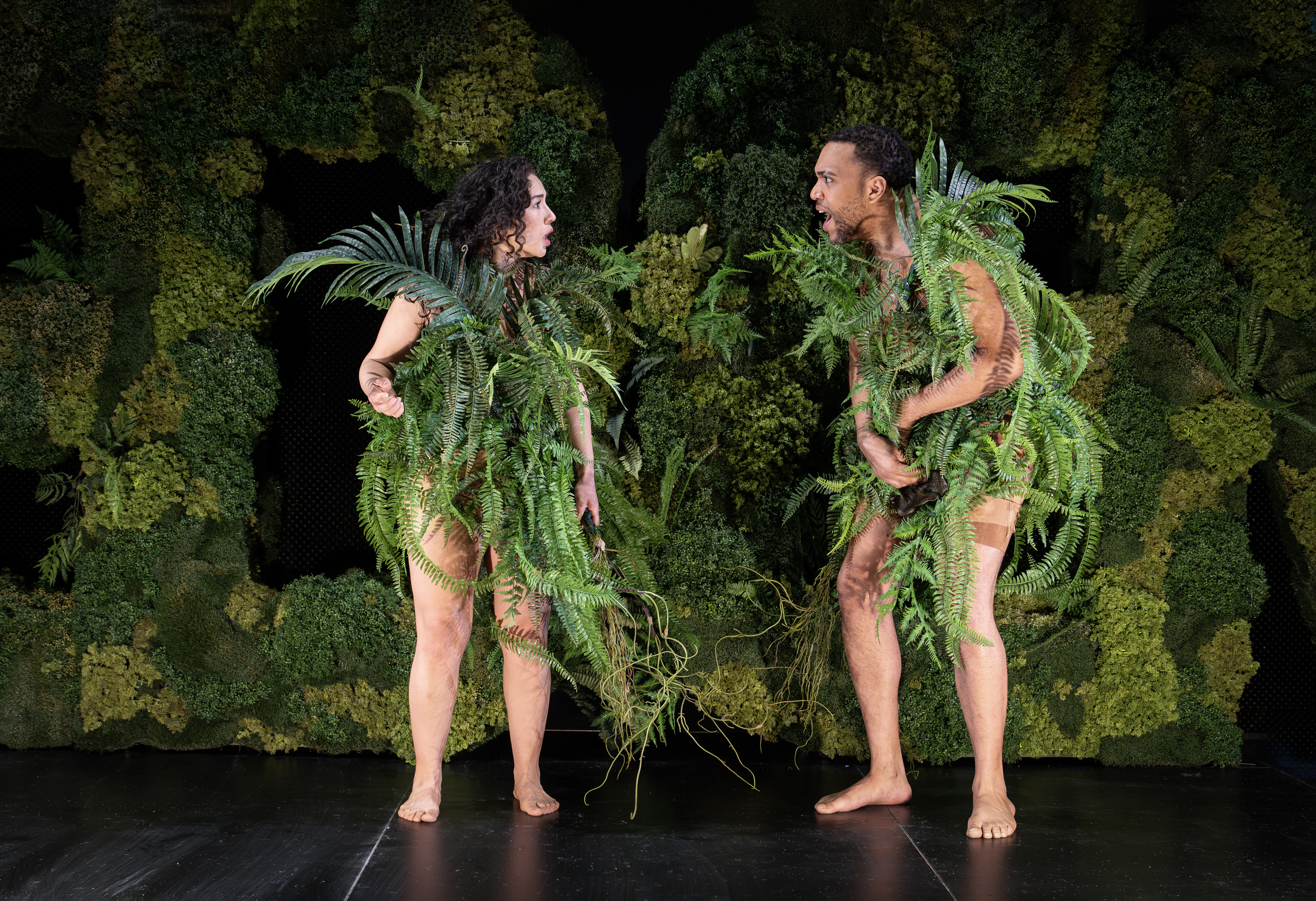 On the Evolutionary Function of Shame: What to expect - 2