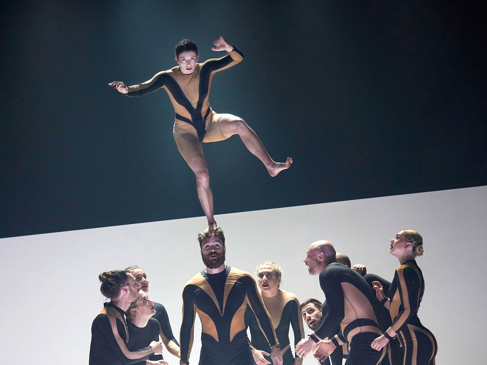 Wolf: What to expect - 1