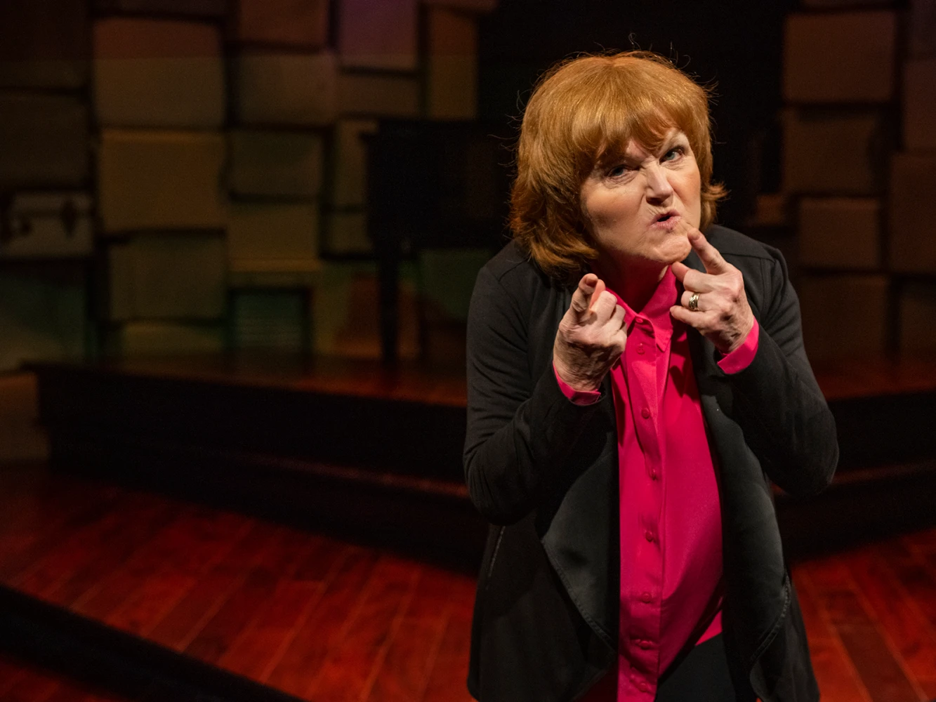 Lesley Nicol - How The Hell Did I Get Here?: What to expect - 3
