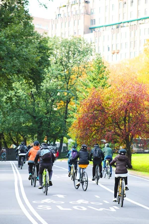 Highlights of Central Park Bike Tour