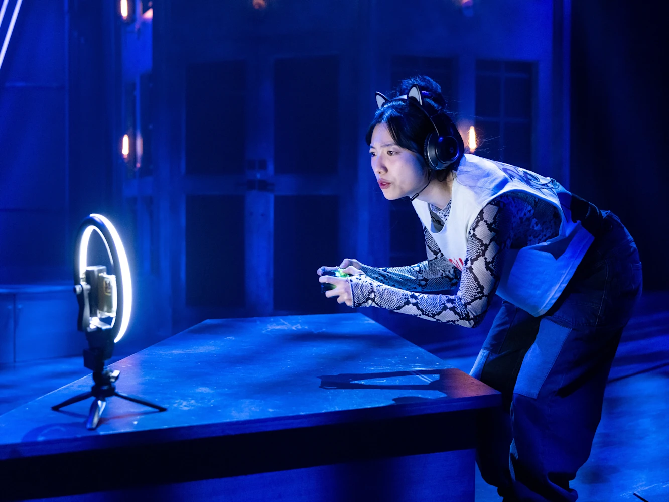 Untitled Vampire Play: What to expect - 5