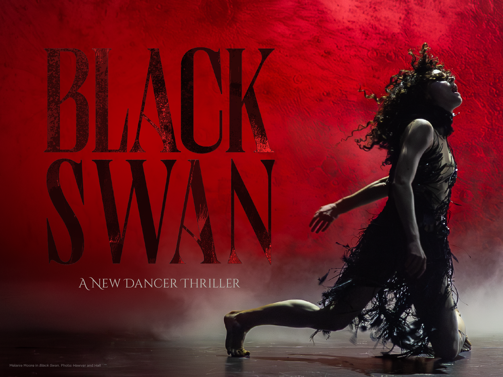 赫音 THE BLACK SWAN 帯付き Black Swan tickets | Cambridge | TodayTix