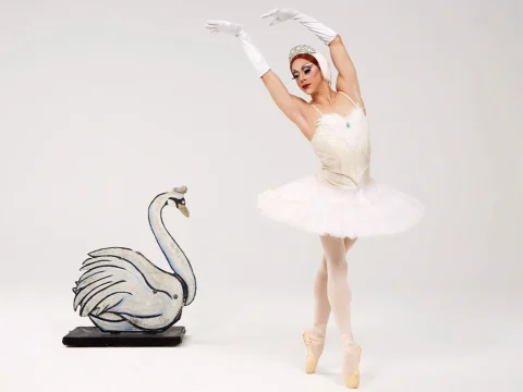 Photo from staged photoshoot of Les Ballets Trockadero de Monte Carlo in Washington DC. A member of the cast of the show posing as a swan from Swan Lake. 