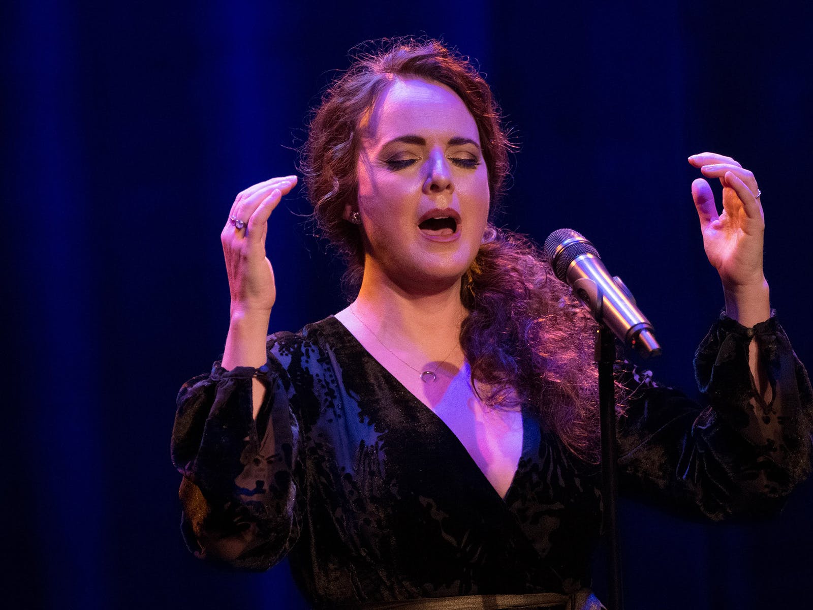 Mystery: Adam Gopnik and Melissa Errico: What to expect - 2