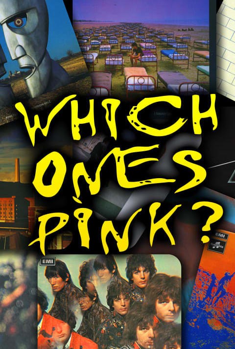 Pink Floyd Tribute by Which One’s Pink show poster