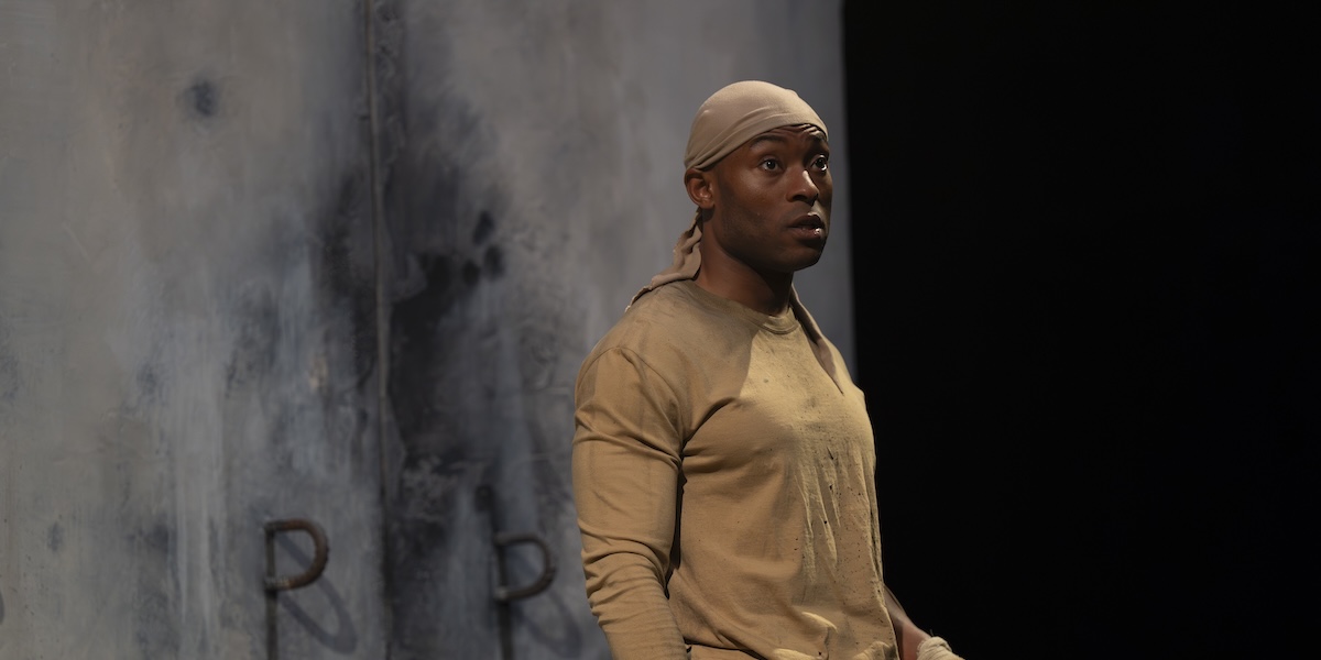 Bengal Tiger - LT - 1200