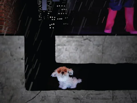 A small white and brown dog sits alone in a dark, rain-soaked alley at night; a person wearing pink boots stands nearby.