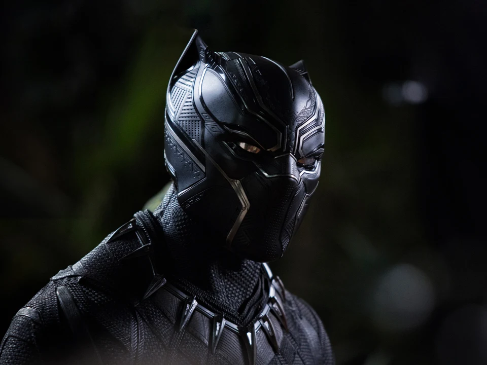 Black Panther: Live in Concert presented by the Sydney Symphony Orchestra: What to expect - 1