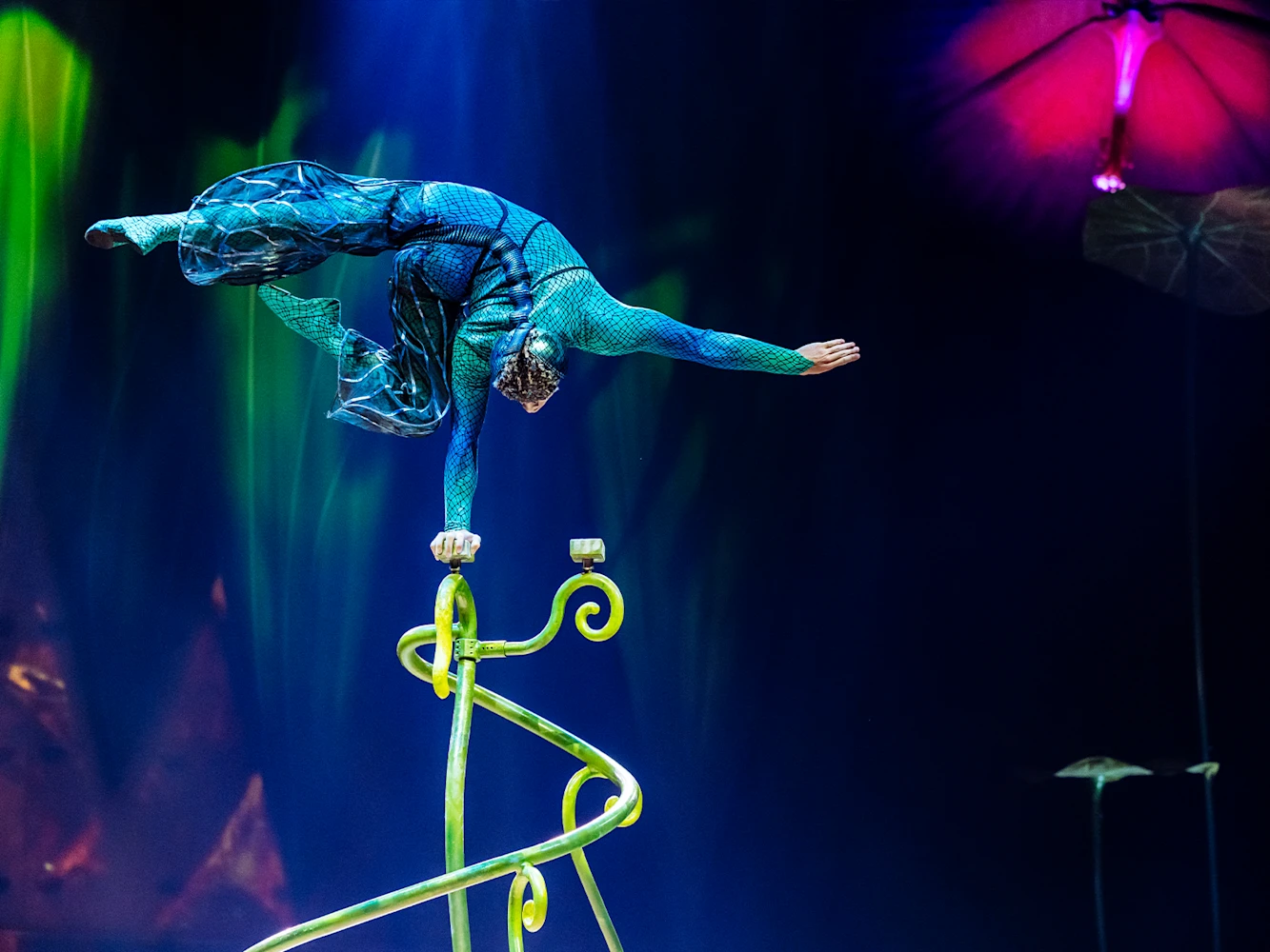 Cirque du Soleil - Ovo: What to expect - 6