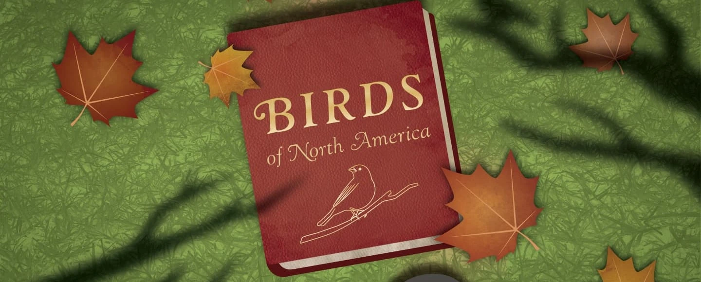 Birds of North America: What to expect - 1