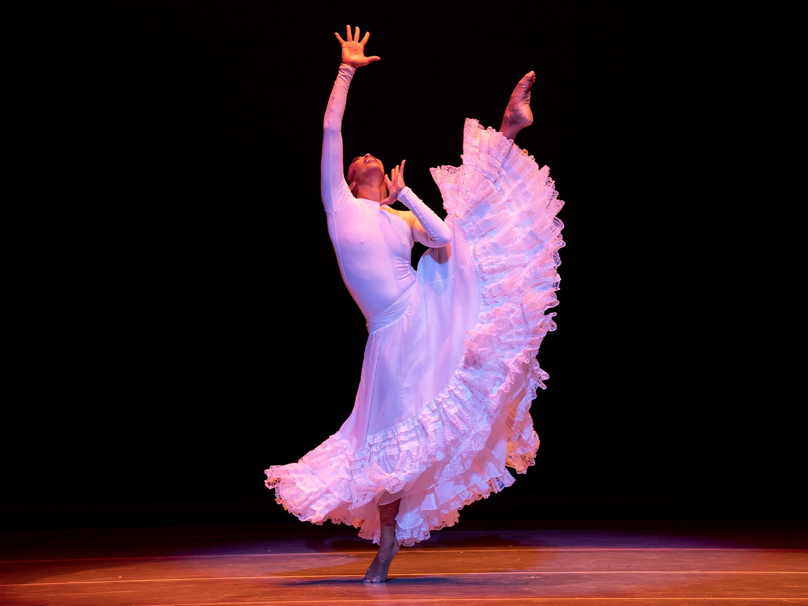 Alvin Ailey American Dance Theater: What to expect - 5