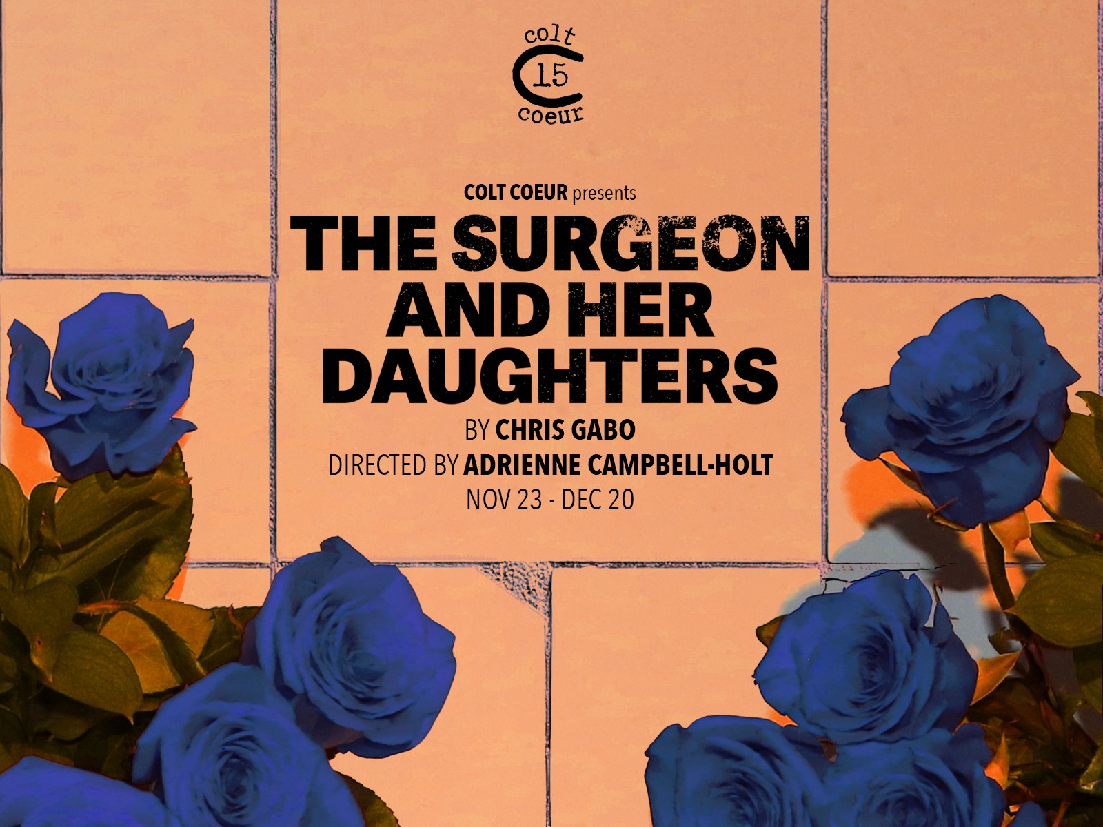The Surgeon and Her Daughters Tickets New York Theatre Guide