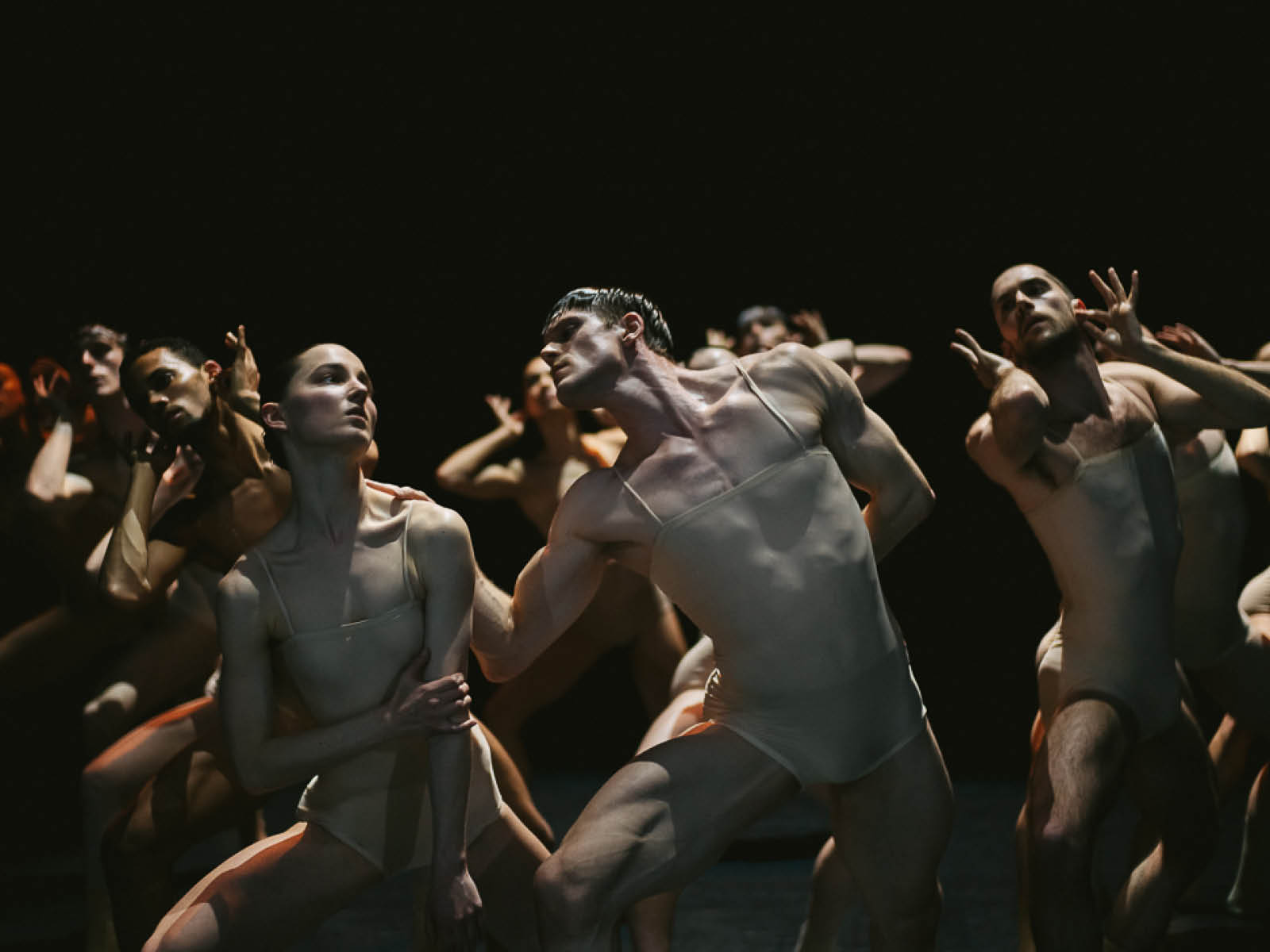 Nederlands Dans Theater: What to expect - 1