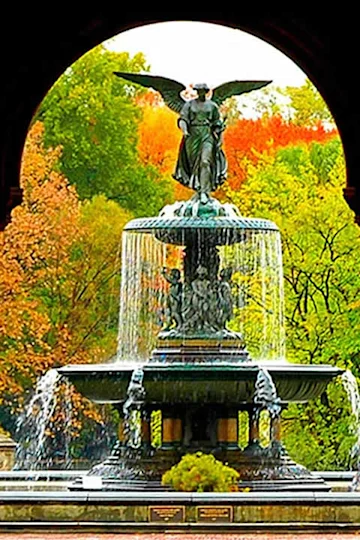 Central Park Experience: A Scenic & Historical Walking Tour tickets