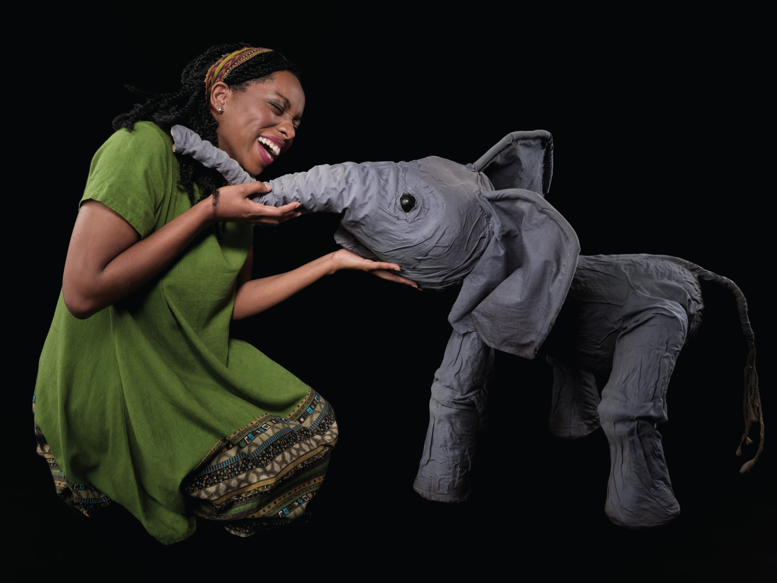 Aanika's Elephants: What to expect - 3